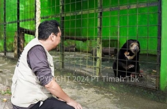 Konflik Manusia dan Satwa di Babel Meningkat, Tambang Ilegal Jadi Pemicu Utama