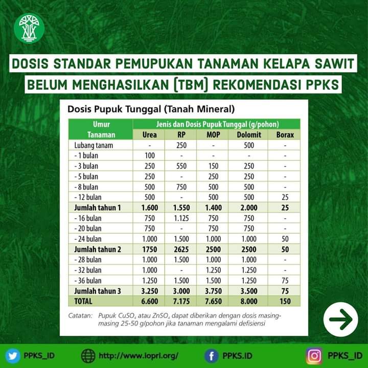 Dosis Standar Pupuk Tunggal dan Fungsinya Berdasarkan Rekomendasi PPKS