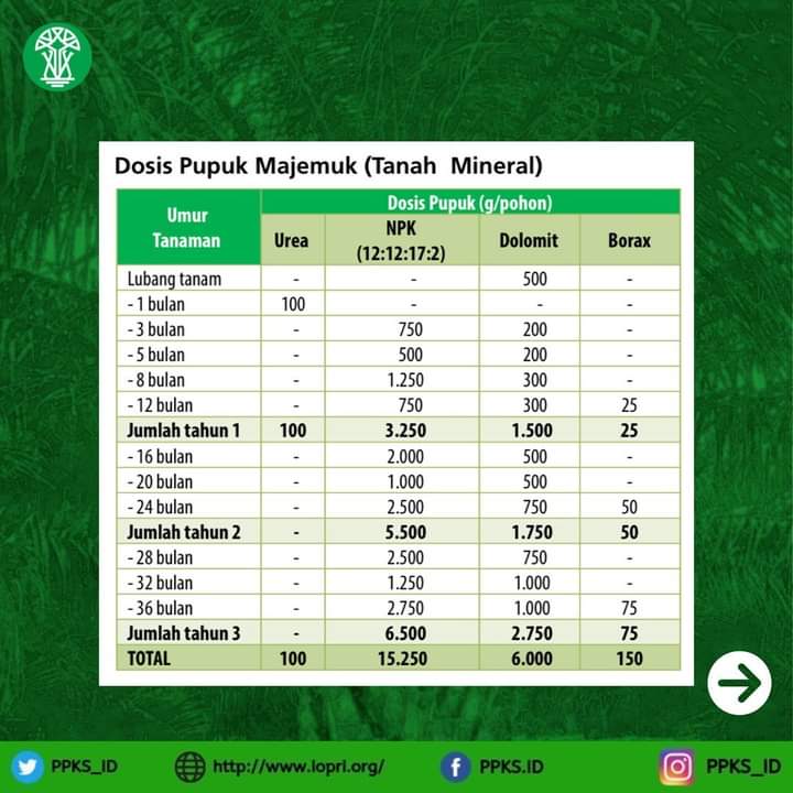 Rekomendasi Dosis Pemupukan Sawit PPKS di Tanah Mineral