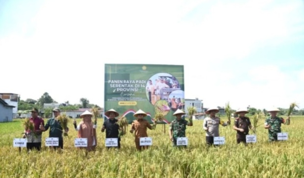 Petani Kini Menjanjikan, Kubu Raya Fokus Tingkatkan Produksi Padi