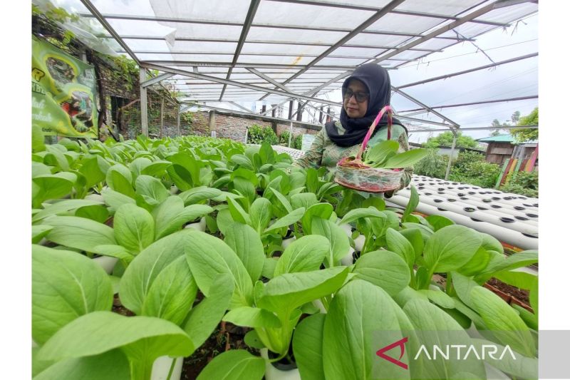 Urban Farming