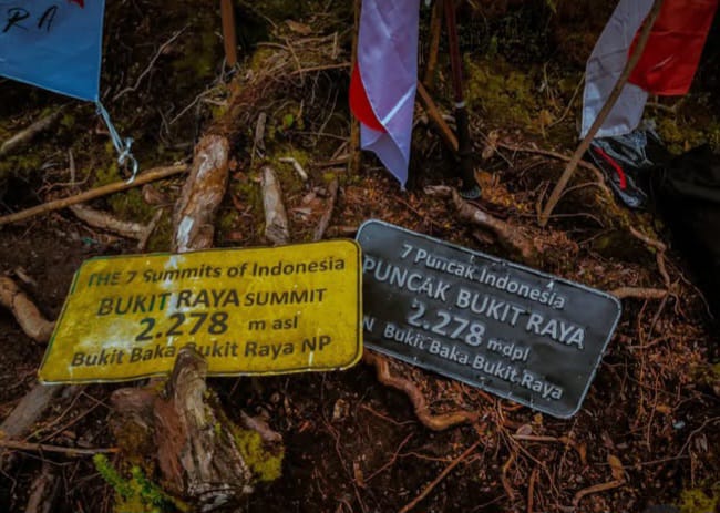 Melihat Atap Kalimantan, Ini Tiga Gunung Tertinggi