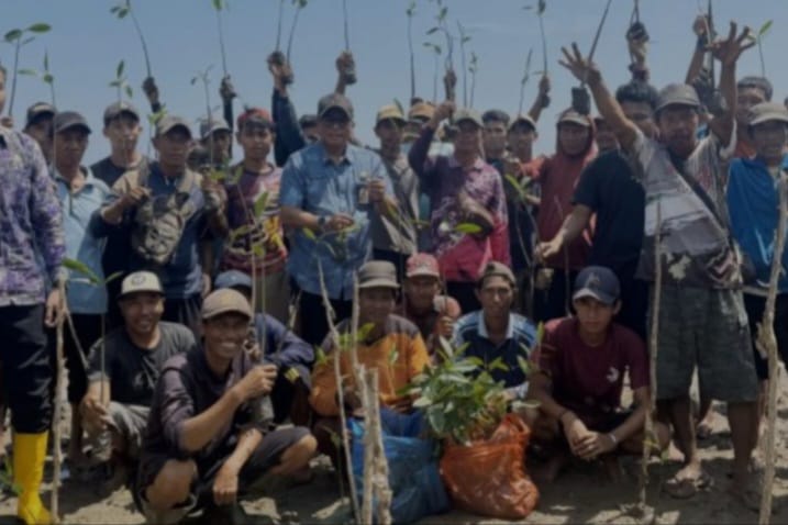 Pulihkan Pesisir, Dislutkan Kalsel Tanam 113 Ribu Mangrove