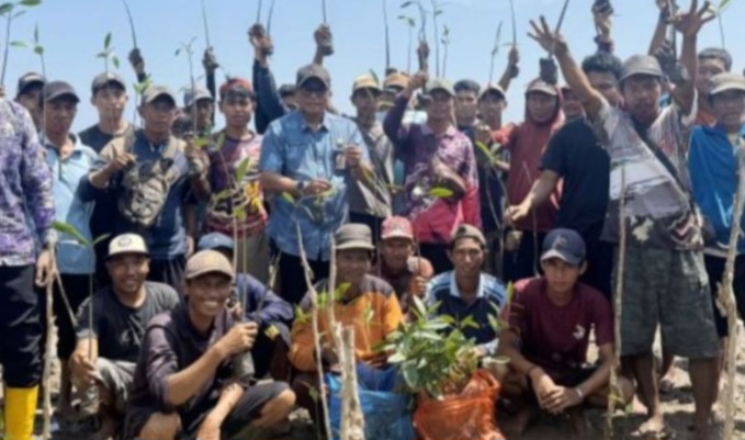 Rehabilitasi Mangrove di Kalsel Capai 20,3 Ha, Libatkan Masyarakat Pesisir
