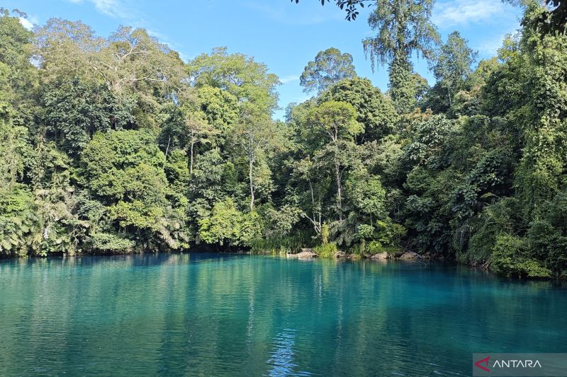 Surga Hidung Kalimantan, Danau Labuan Cermin dan Pantai Baru Berdiri di Berau