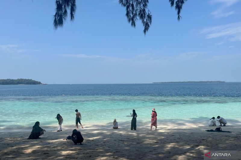 Keindahan Kepulauan Seribu dan Eksotisme Lumba-lumba Makan Malam