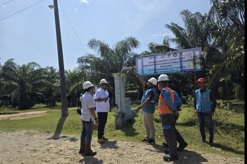 PTPN IV PalmCo dan PLN Edukasi Petani Sawit Terkait Keselamatan Kerja dan Pemanenan