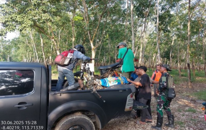 Kemenhut Ungkap Tambang Emas Ilegal di Taman Nasional Meru Betiri