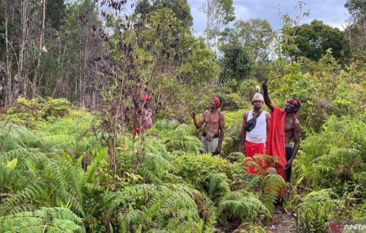 Kemenhut Sebut Ada 14 Lokasi sedang Proses Penetapan Hutan Adat