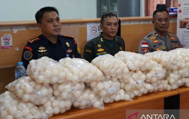 Penyelundupan Ribuan Telur Penyu dari Tambelan Digagalkan di Kalbar