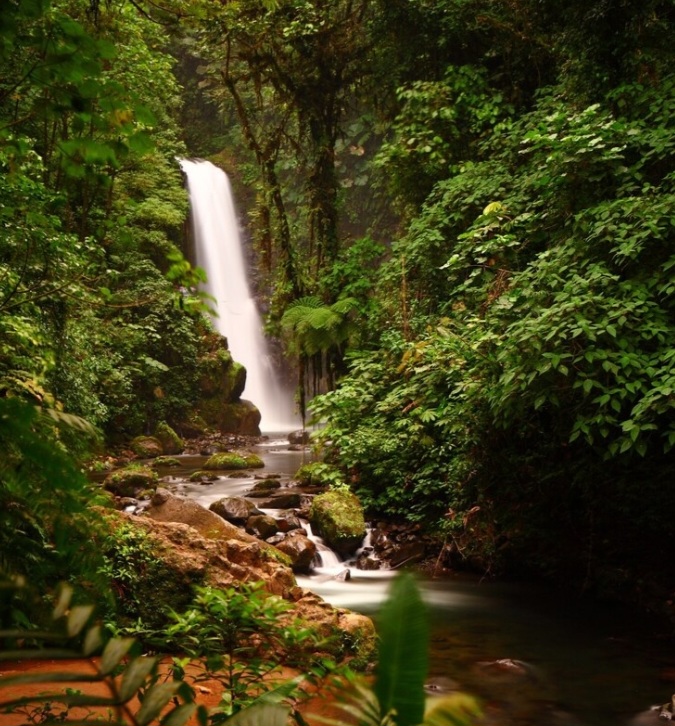 Hutan Indonesia: Paru-Paru Dunia yang Terancam