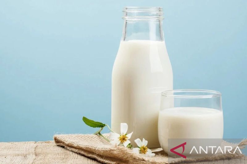 Susu Botol