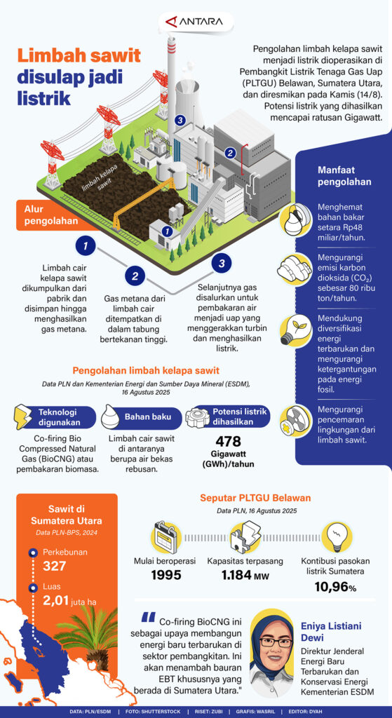 Limbah Sawit Jadi Listrik'