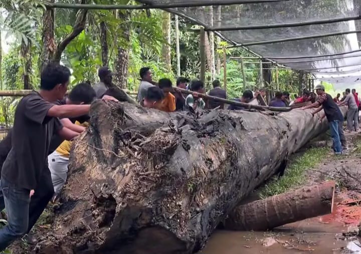 Tradisi Pacu Jalur