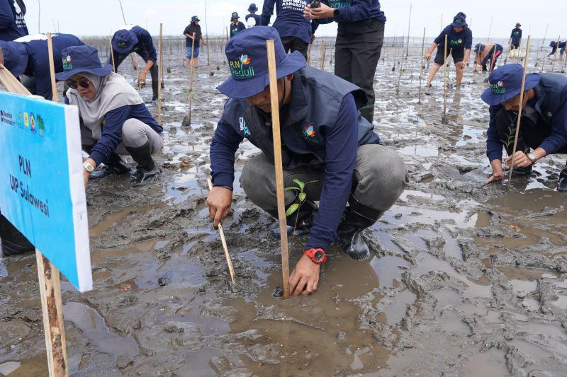 PLN UIP Sulawesi