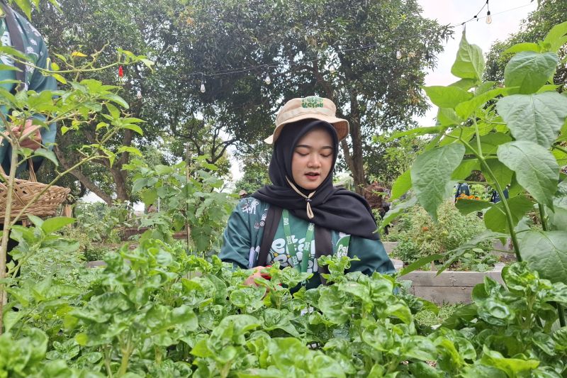 Petani Milenial