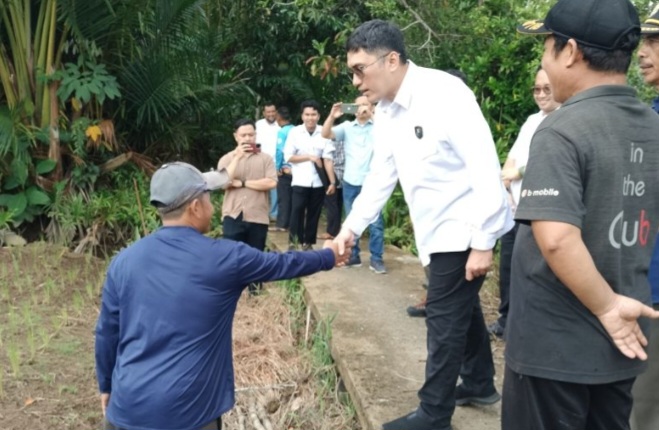 Tinjau Irigasi Sawah