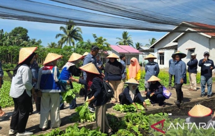 Kampung Gambut Siantan Hilir