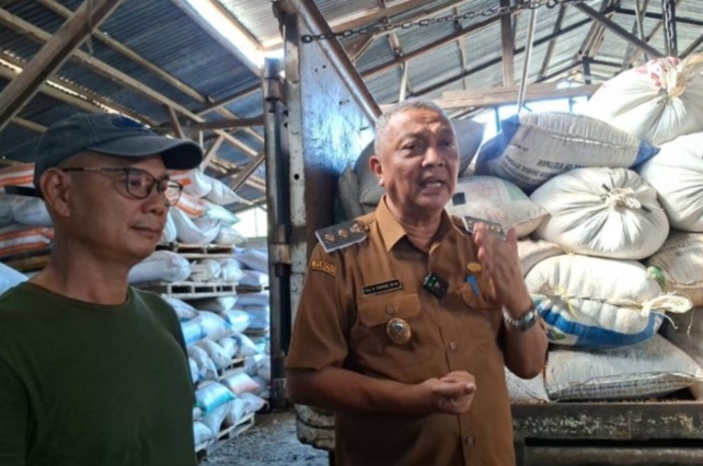 Ekspor Jagung Bengkayang Tembus Pasar Malaysia, Harga Petani Capai Rp5.500/Kg