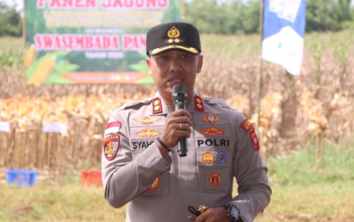 ketahanan pangan nasional