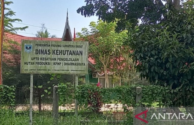 lahan perkebunan sawit
