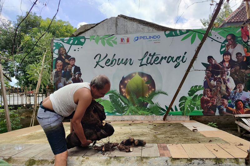 Berkebun di Pekarangan