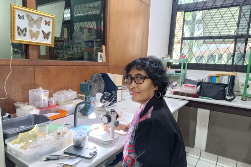 Damayanti Buchori