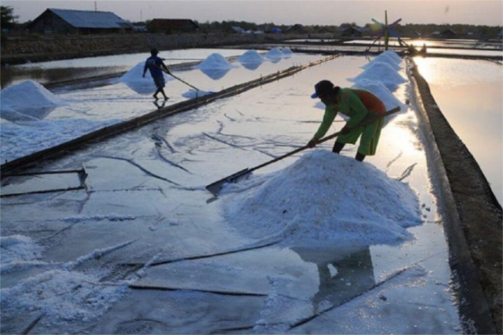 Tambak Garam di Nusa Tenggara Barat