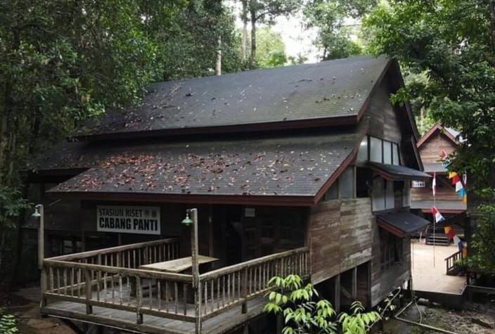 Sejarah Taman Nasional Gunung Palung Berawal dari 1937