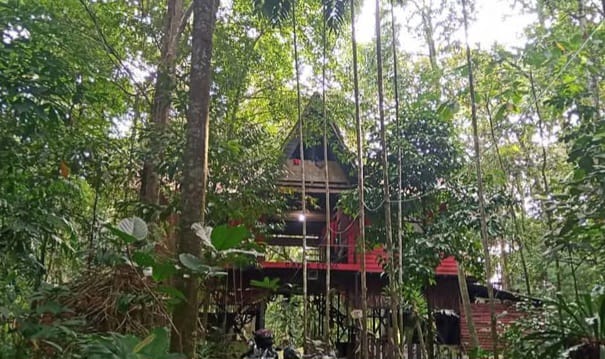 Arboretum Sylva Untan, Surga Alam di Kota Pontianak