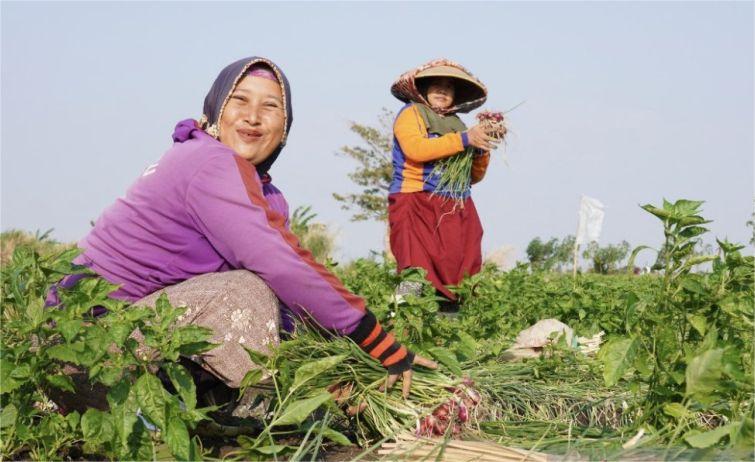 Petani Keluarga