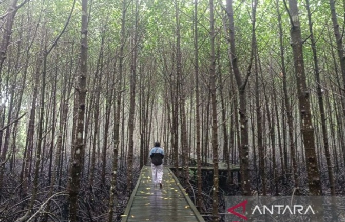 Bontang Mangrove Park, Wisata Edukasi dan Konservasi di Jantung Kalimantan Timur