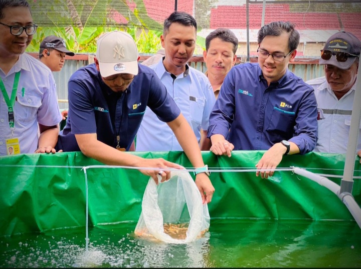 PLN dan Petani Kubu Raya Menenun Asa: Ikan dan Jamur Tumbuh Jadi Harapan Baru