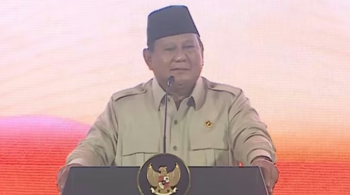 Lahan perkebunan sawit