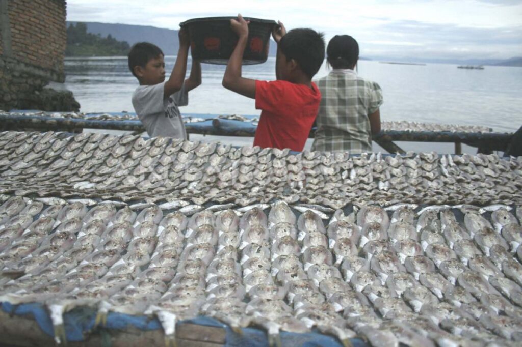 Ikan Pora-Pora
