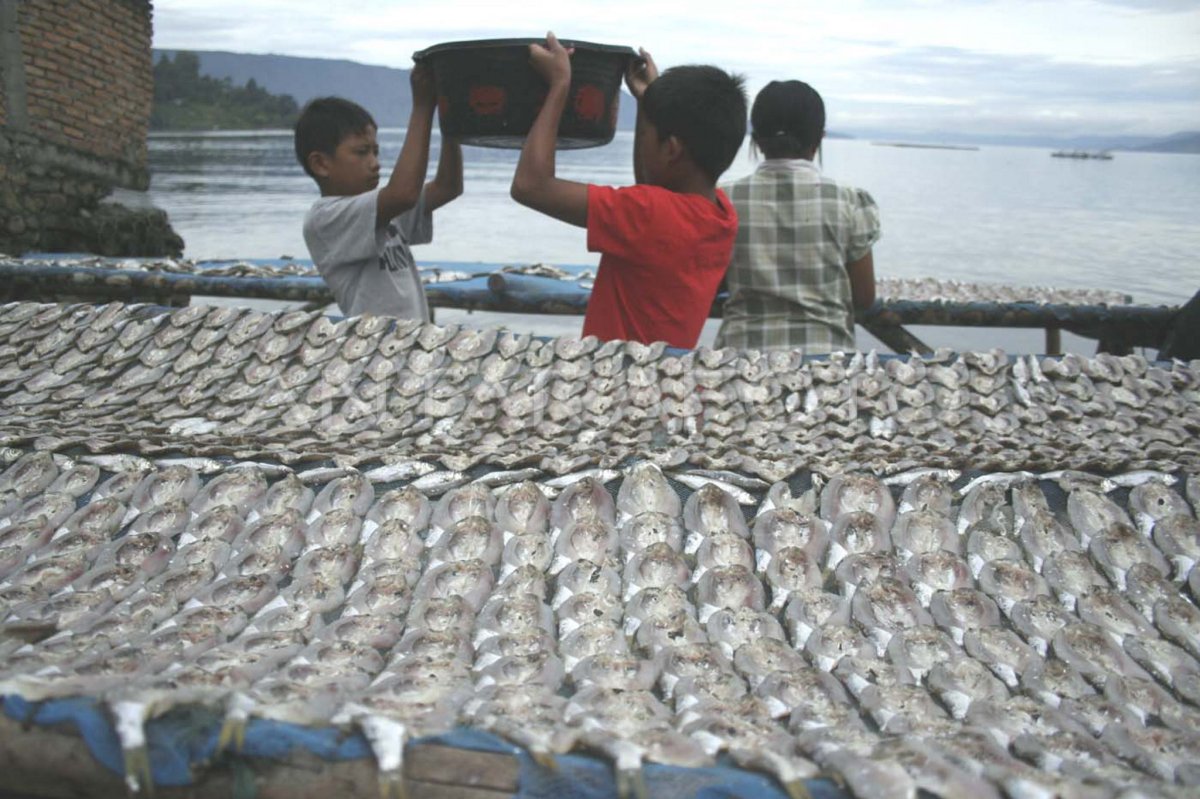 Ikan Pora-Pora