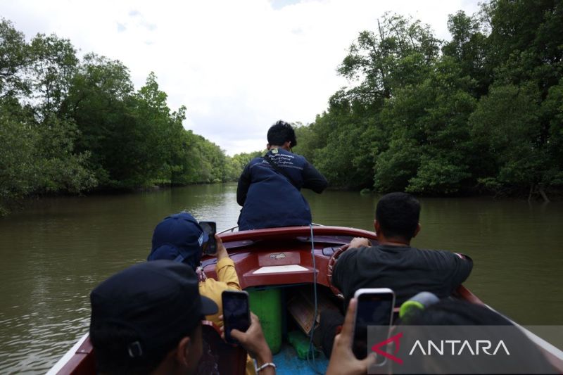 Mangrove Beri Nafas Kehidupan Wilayah Pesisir Kalimantan Timur