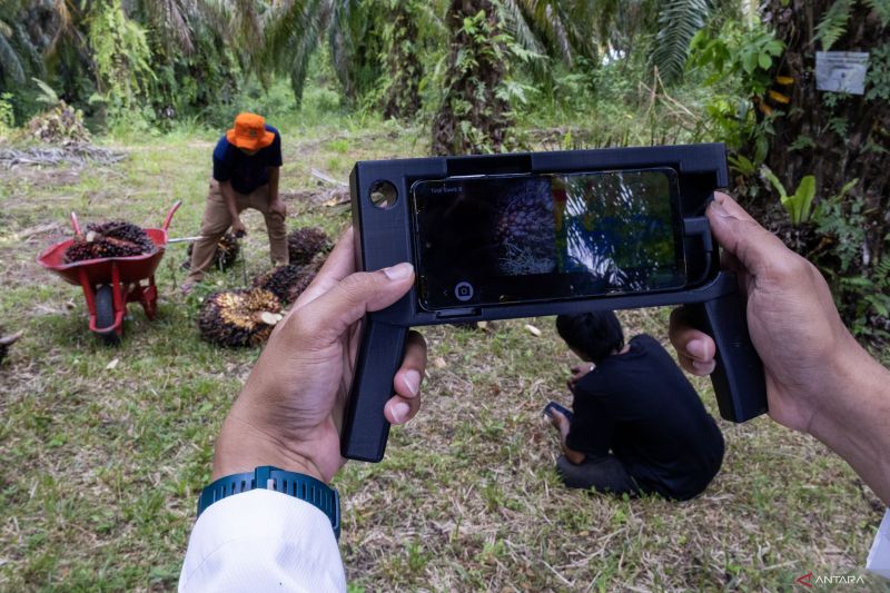 Alat Ukur Kematangan Sawit