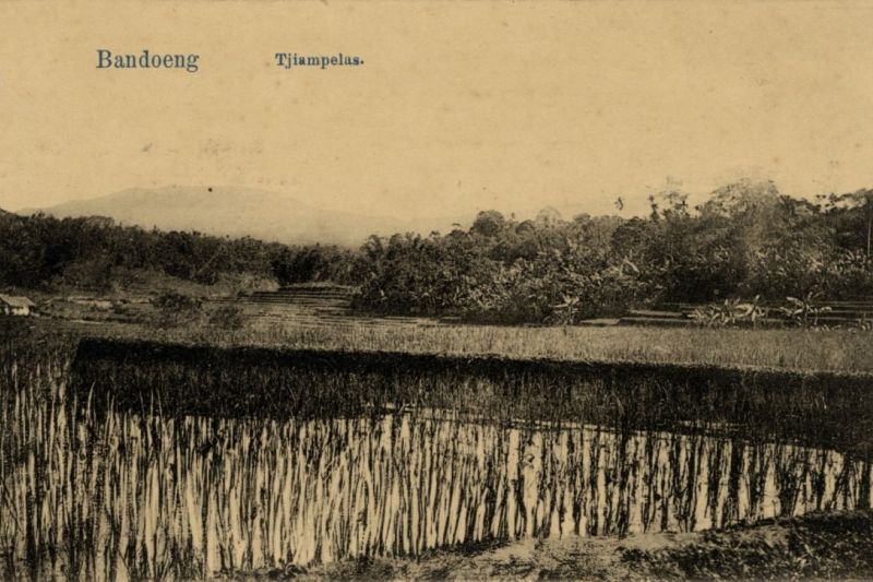 Kampung Cihampelas