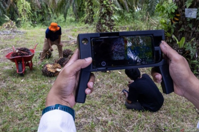 Sensor Buatan Dosen UNAND Bantu Petani Kelapa Sawit Panen Tepat Waktu