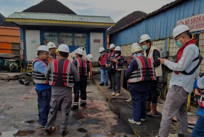 Dua Ekor Pesut Mahakam Mati, Yayasan Rasi Lapor ke KLH