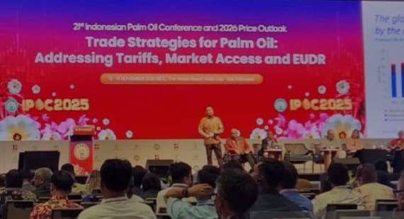 Standar Industri Sawit Harus Universal, Bukan Milik Kawasan Tertentu