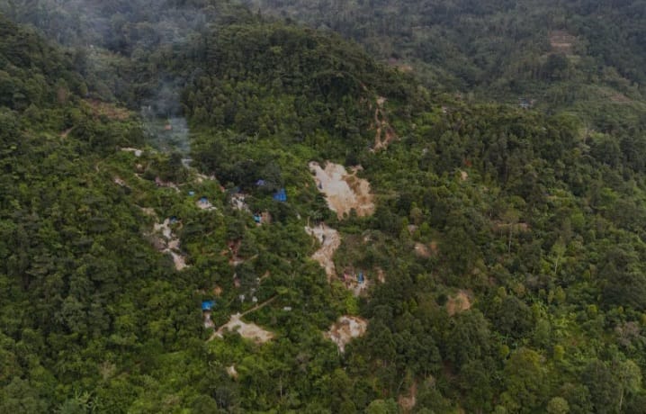 Lagi, Ada Temuan 88 Lubang Tambang Ilegal di Taman Nasional Gunung Halimun Salak