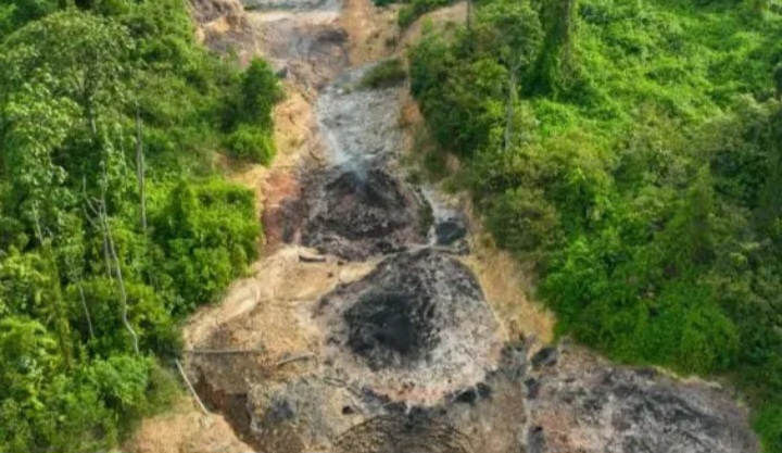 Tambang Ilegal di Jantung Bukit Soeharto Terbongkar, Kerugian Negara Capai Rp80 Miliar