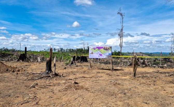2.390 Ha Areal Perambahan Hutan di Lanskap Seblat Diamankan Kemenhut
