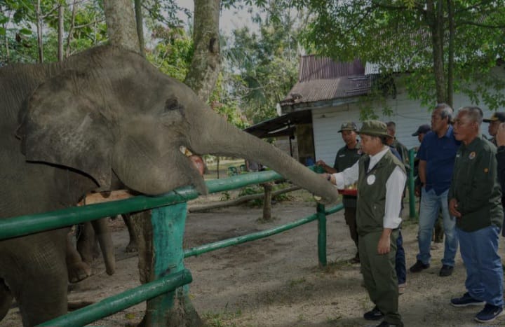 Menhut Sebut Bencana di Sumatera Titik Balik Perbaikan Tata Kelola Hutan