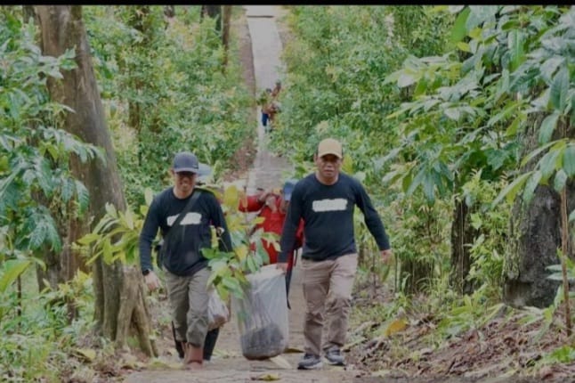 Kalsel Tambah 500 Batang Pohon Ulin di Pulau Zwageri