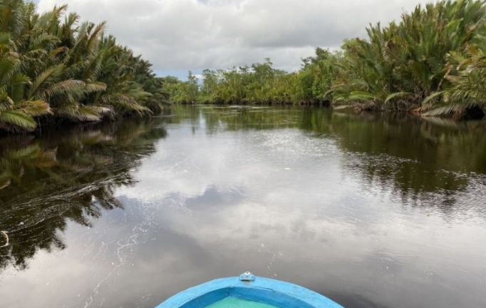 Pahami Hutan, Sayangi Ibu dan Selamatkan Kehidupan