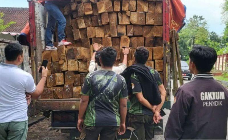 Truk Pengangkut Kayu Ilegal