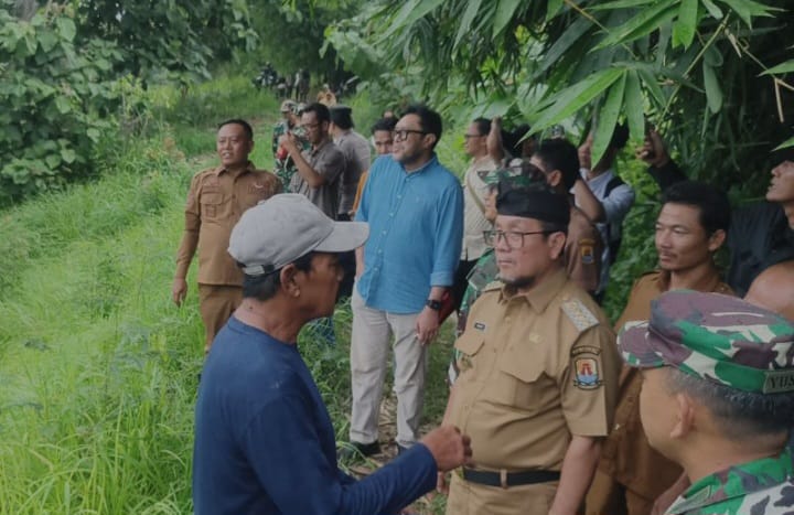 Kelapa Sawit di Cirebon Mau Diganti dengan Pohon Mangga